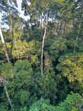 08 25 View from The Rainforest Skywalk i0442