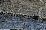 07 18 Overlaying formations 7725