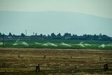 07 18 Irrigating alfalfa 7748