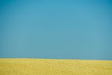 07 18 Sky and grain 7754