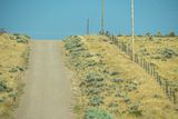 07 18 Scotts short cut 7759