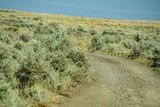 07 18 Scotts short cut gets more interesting 7763.JPG