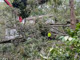 2024 09 30 Extracting our house i1122