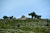 04 02 Landscape Moroc-3958