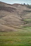 04 02 Landscape and grazing line Moroc-3967