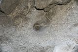 07 18 At Redmond Caves 7811