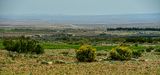 04 02 Agriculture in valley Moroc-4015