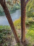 07 18 Deshutes River, Bend, OR i6916
