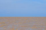 08 26 Kinabatangan River 4462