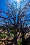 05 03 Utah19-2-1356