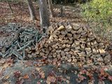 2024 11 08 Storm wood for Mikes oven i1613