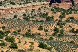 05 03 Utah19-2-1316
