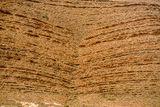 04 02 Syncline Moroc-4212