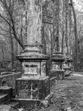 2024 12 10 Tanglewood i2158-2