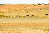 04 02 Rocks, donkeys and solar panels Moroc-4265