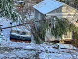 2025 01 11 Enough already! i2502