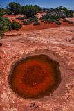 05 03 Ephemeral pool of desert rain 1458
