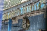09 05 Time for rain India-2-2789