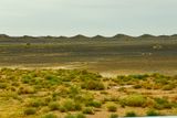04 02 Leeward of the petrified dunes Moroc-4345