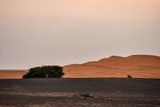 04 03 El Chebbi morning Moroc-4448