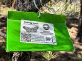 07 19 Songy moth trap i6977