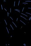 2009 09 06 1077