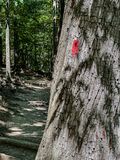 09 03 The Red Trail i0285