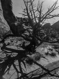 05 03 Utah19-2-i2163-1-2