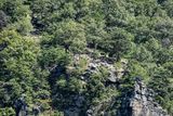 09 04 Looking up to overview on Maryland Heights from down in Harpers Ferry 9497