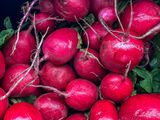 2025 05 11 Radishes i3867