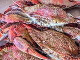 2025 05 26 Blue crabs for lunch! i4120