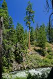 2024 07 19 Upper Deschutes River 8011