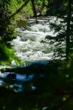 2024 07 19 Upper Deschutes River 8024