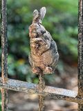 2024 09 05 Gate decour iE0435