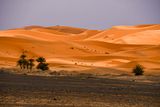 20190 4 03 El Chebbi Moroc-4698