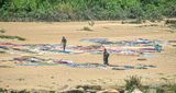 2017 09 06 Drying laundry on a river India-2-3330