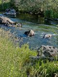 2024 07 19 Remains of the Deschutes River in Bend, OR i7042
