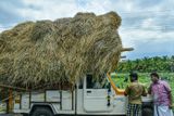 2017 09 06 Loaded and ready to go India-2-3499
