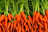 2017 09 06 Freshly harvested carrots India-2-3854