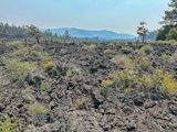 2024 07 20 Lava Casts Natl. Forest i7213