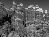 2019 05 03 Utah19-2-i2205bw