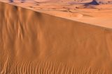 2019 04 04 Beetles climb Erg Chebbi - Merzouga Moroc-5005-2