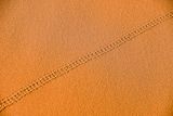 2019 04 04 Beetle tracks - Erg Chebbi - Merzouga Moroc-5015