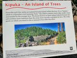 2024 07 20 Kipukas - Lava Casts Natl. Forest i7250