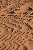 2019 04 04 - Erg Chebbi - Merzouga Moroc-5036