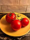 2025 11 19 Simply tomatoes i7164