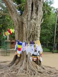 Prayer flags