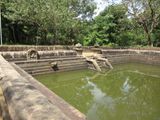 Twin Ponds