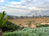 Dellaire Graf Winery, Stellenbosch
