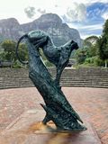 Kirstenbosch Botanical Gardens